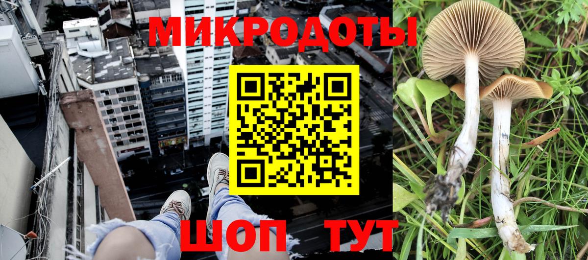Галлюциногенные грибы Cubensis Орск
