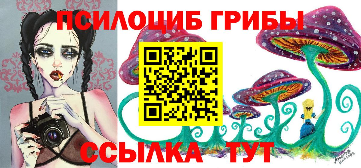 Галлюциногенные грибы MAGIC MUSHROOMS  Вход с VPN  где купить наркоту  Галлюциногенные грибы GOLDEN TEACHER  Орск 